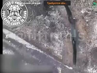 Destruction of Ukrainian terrorists