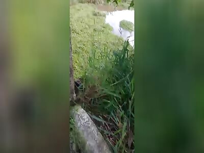 Suicide on the bridge