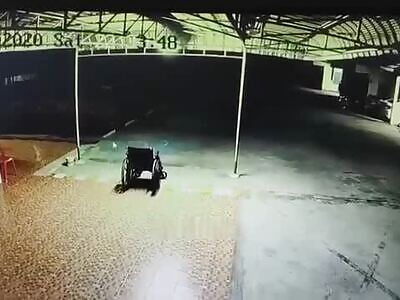 Wheelchair Moves Without Person