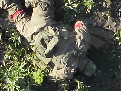 Behold The New Ragdolled Zigger