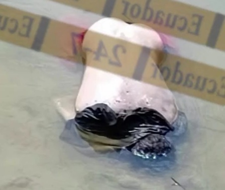 Dead body with several bullet wounds floating in river 