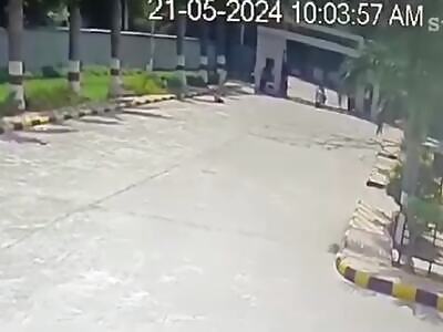 Tree falls on a couple in India