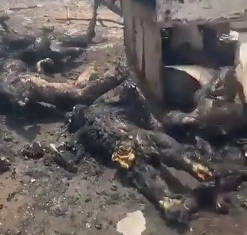 [SUDANIAN BARBECUE]CALCINATED DEAD BODIES OF JANJAOUID MILITIA 