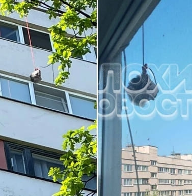 Mans Suicide Results In Decapitation