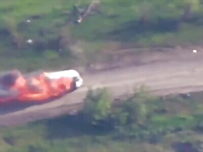 70's Nostalgia—Scooby-Doo Van + Ziggers Torched by FPV