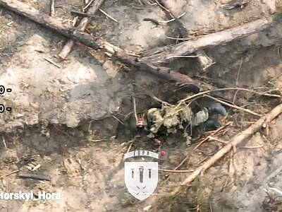 Russian kebab from Ukrainian chefs