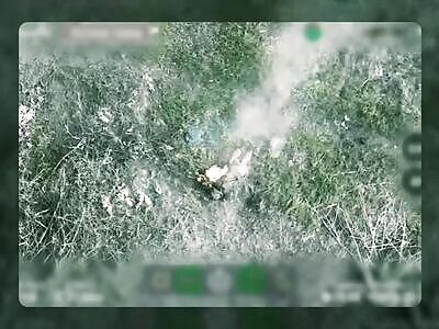 Another day — another russian kebab