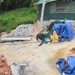 Worker Tragically Fell From 3rd Floor 