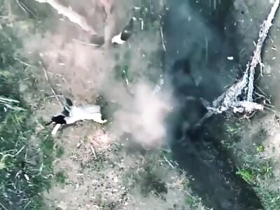 Routine work of Ukrainian drones