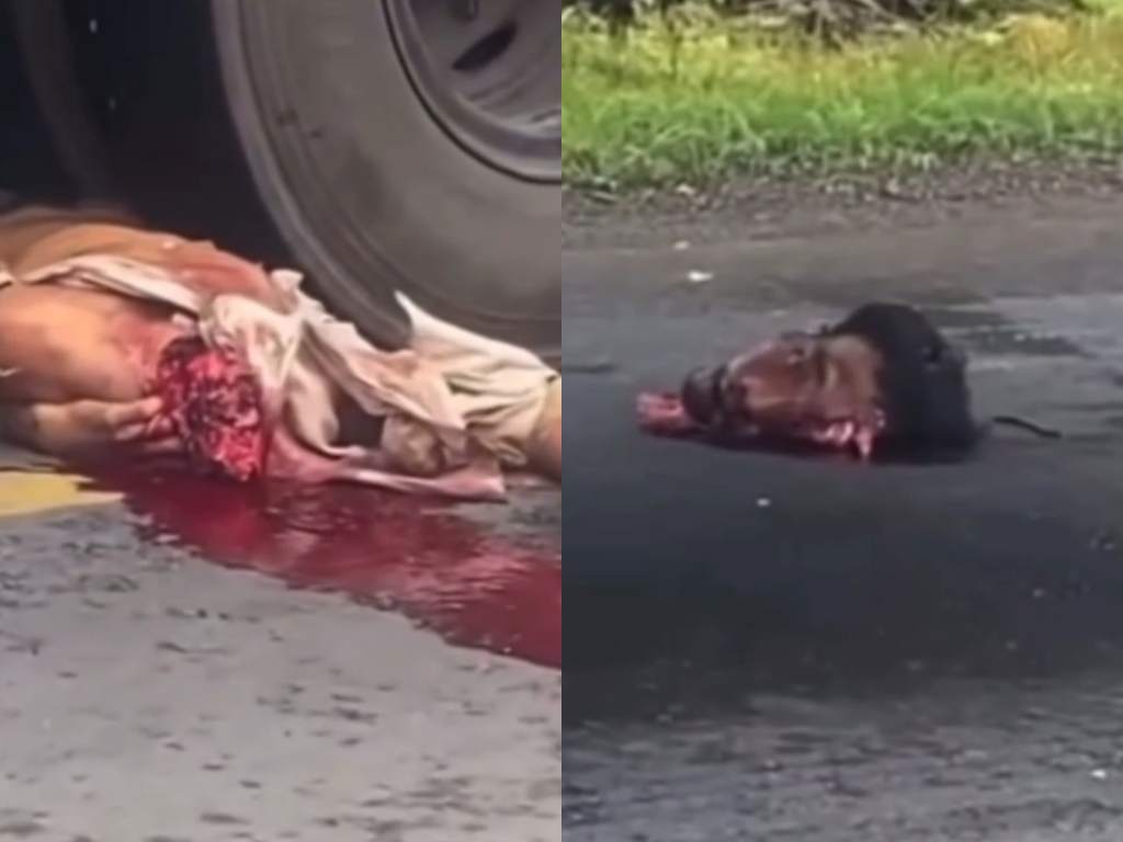 Man's Head Gets Chopped Off In Accident