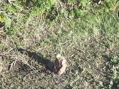 Merciless Drones Slap Around Groggy Russian Ragdoll