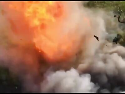 Ukraine Death Comp LX