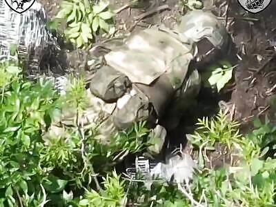 Zedophiles Leaves Theirs Behind