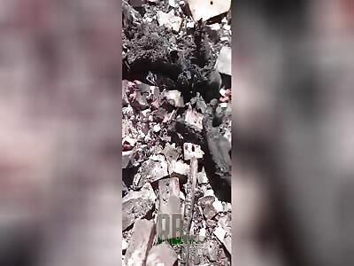 10 Ukrainians charred and killed after clashing with Russian drones.