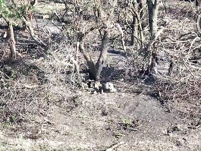 Zigger Caught Sleeping With Corpse