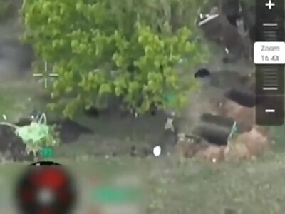 Dead Russians comp II (June 15, 2024)