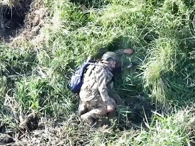 Pretend to be dead!!