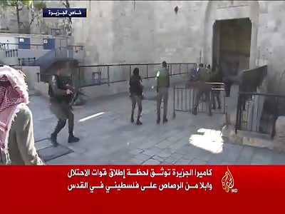 Palestine Youth Killed by Israeli Soldiers