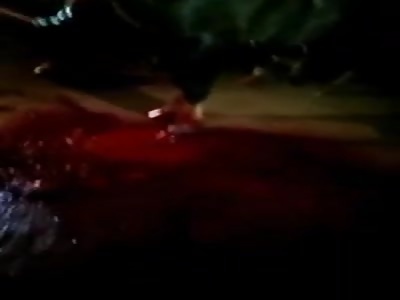 Policeman Shoots and Kills Horse (Aftermath)