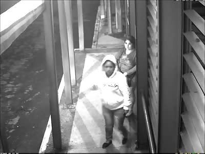 Female Contract Killer Shoots and Kills Bus Driver