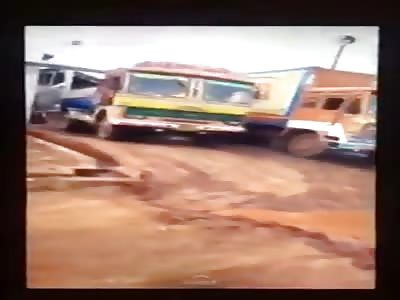 Shocking. Dog Shot to Death