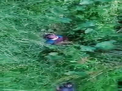 Decomposed Bodies of Four People Found in the Bush