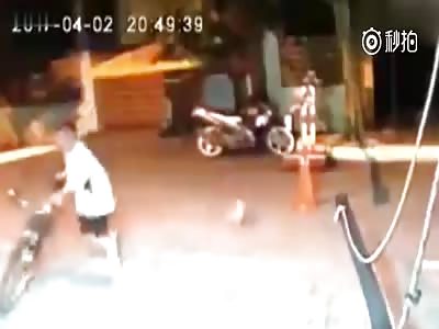 Cyclist Kills the Dog after Getting Knocked Down by Him