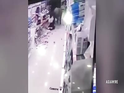 Pregnant Woman Attacked by Rampaging Buffalo 