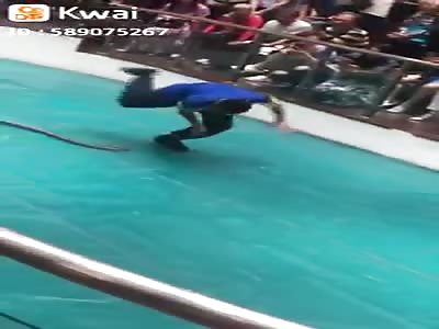 Snake Bite on Wiener 