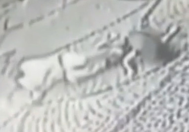 Man Tries to Catch a Suicide Jumper