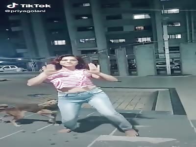 Even Animals are Fed up with Tiktokers