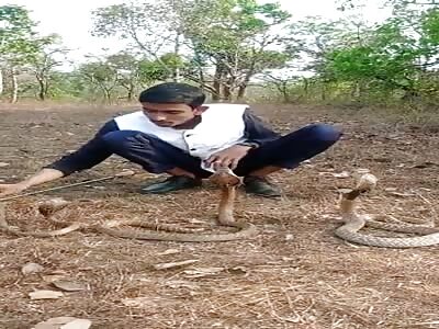 Bad day for a Youtuber Playing with 3 Cobras 