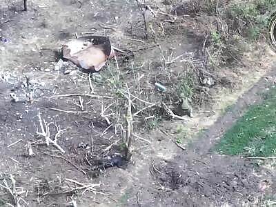 Beheading, tearing and roasting Russians