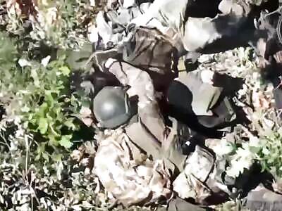 Stupid Little Drones Ruin Ziggers