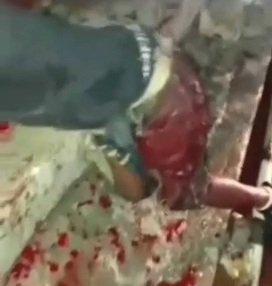 Haitian man Butchered by Gang Member 