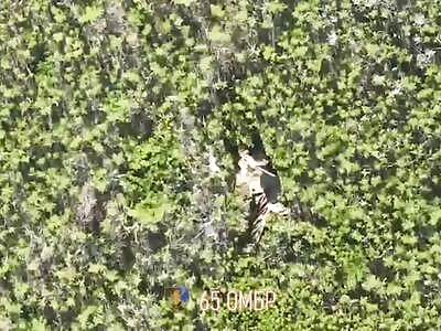 Russian invader asks the drone for mercy