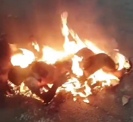 Gang member killed and set on fire by rivals 