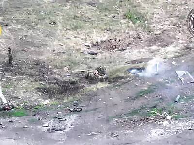 Lord Of The Flies, Literally