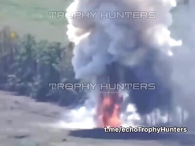 Demilitarization of the Russian army