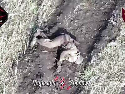 DRONE HUNTING COMPILATION (RECENT)