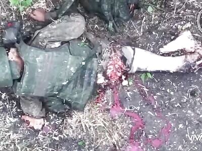 ILLEGAL IMMIGRANT PUNISHED HARD BY BORDER DRONE