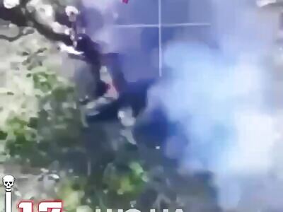 Russian Suicides (Compilation)