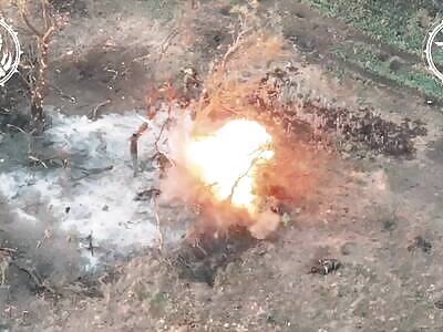 Ziggers were fed FPVs