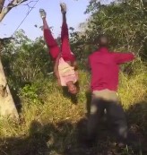 Thief Strung up by Feet and Beaten.