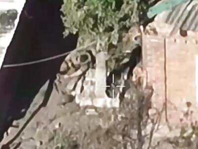 Ukrainian sniper sends the Russian to sleep