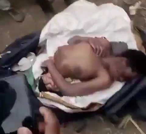 Discovering half of Female body Bagged and Dumped 