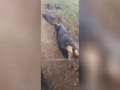 RU POV: Dead russian garbage after failed attack