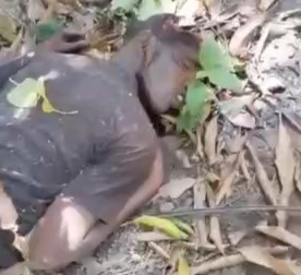 Gang members killed and dumped in forest 