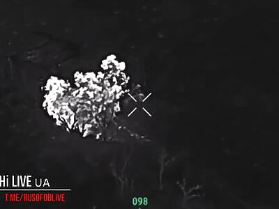 Failed Zigger Night Assault Receives Morning Post