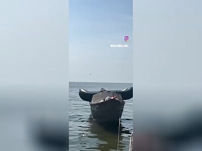 Cruise Missles Whiz over Fishermen